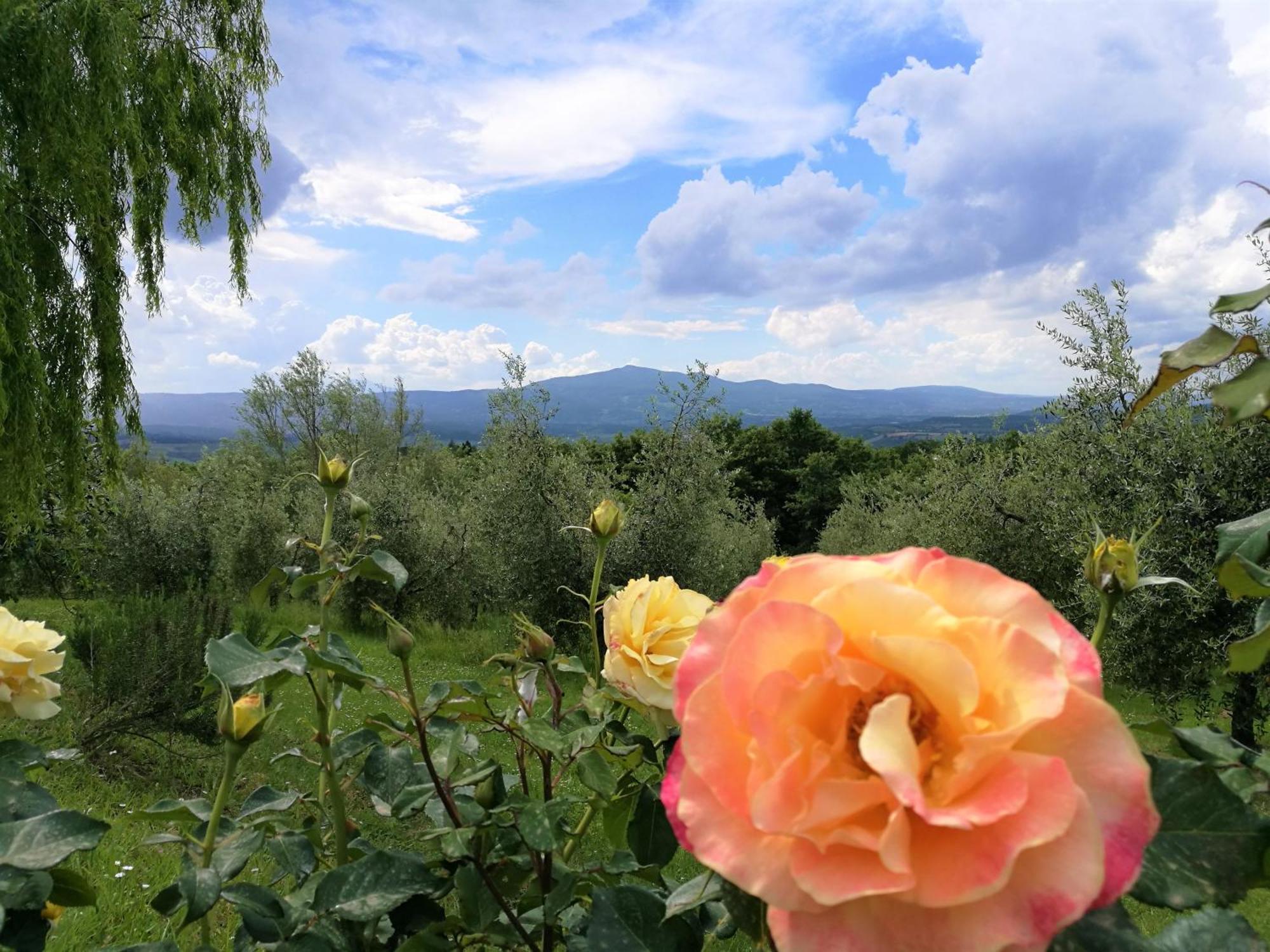 Agriturismo Cornieto Monteleone dʼOrvieto Eksteriør bilde