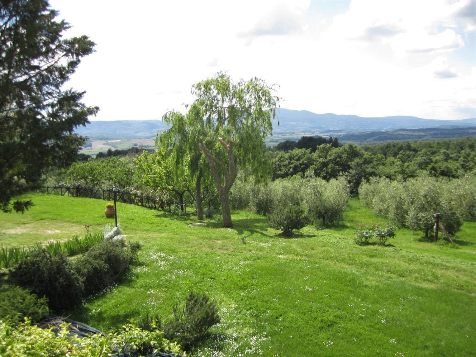Agriturismo Cornieto Monteleone dʼOrvieto Eksteriør bilde