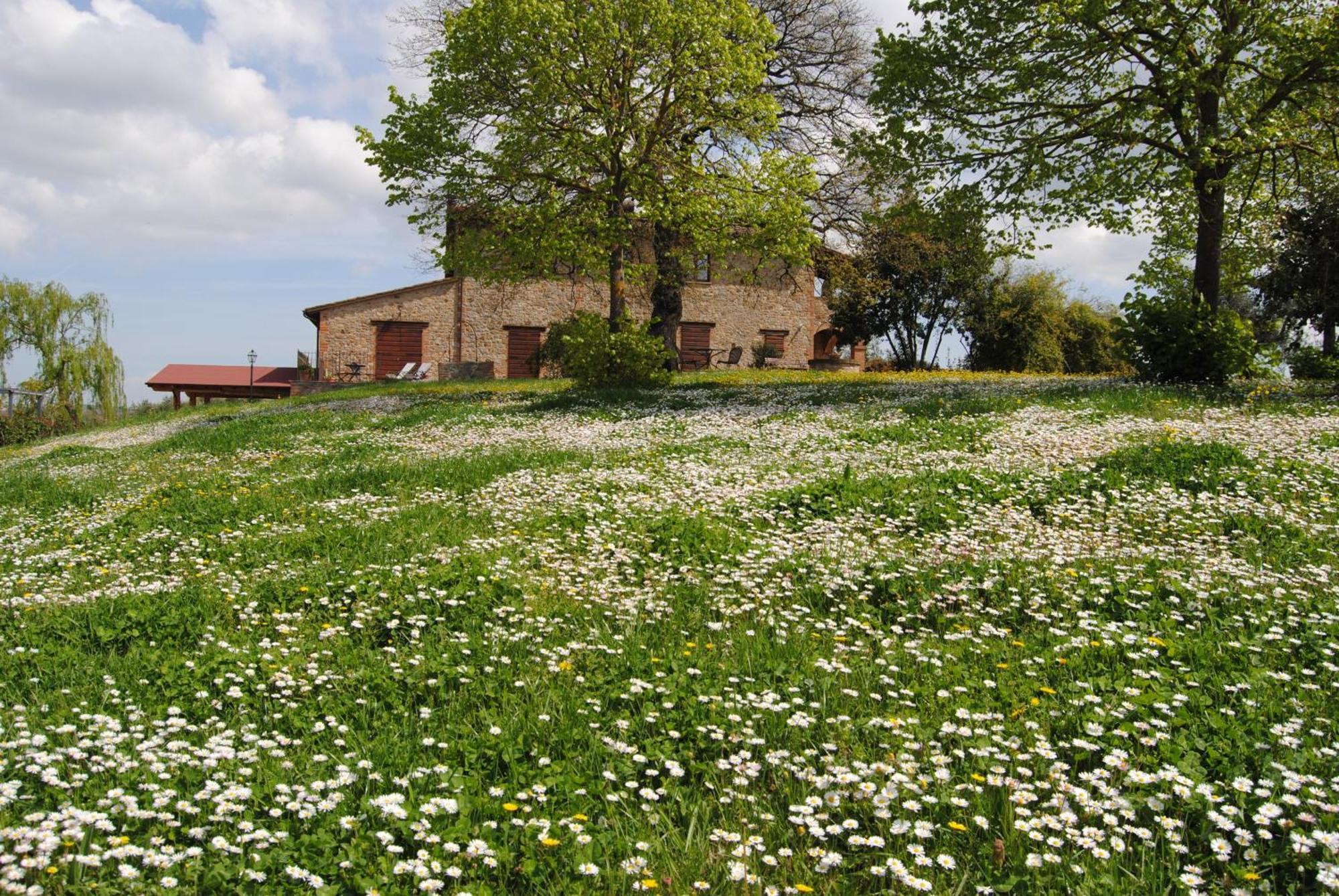 Agriturismo Cornieto Monteleone dʼOrvieto Eksteriør bilde