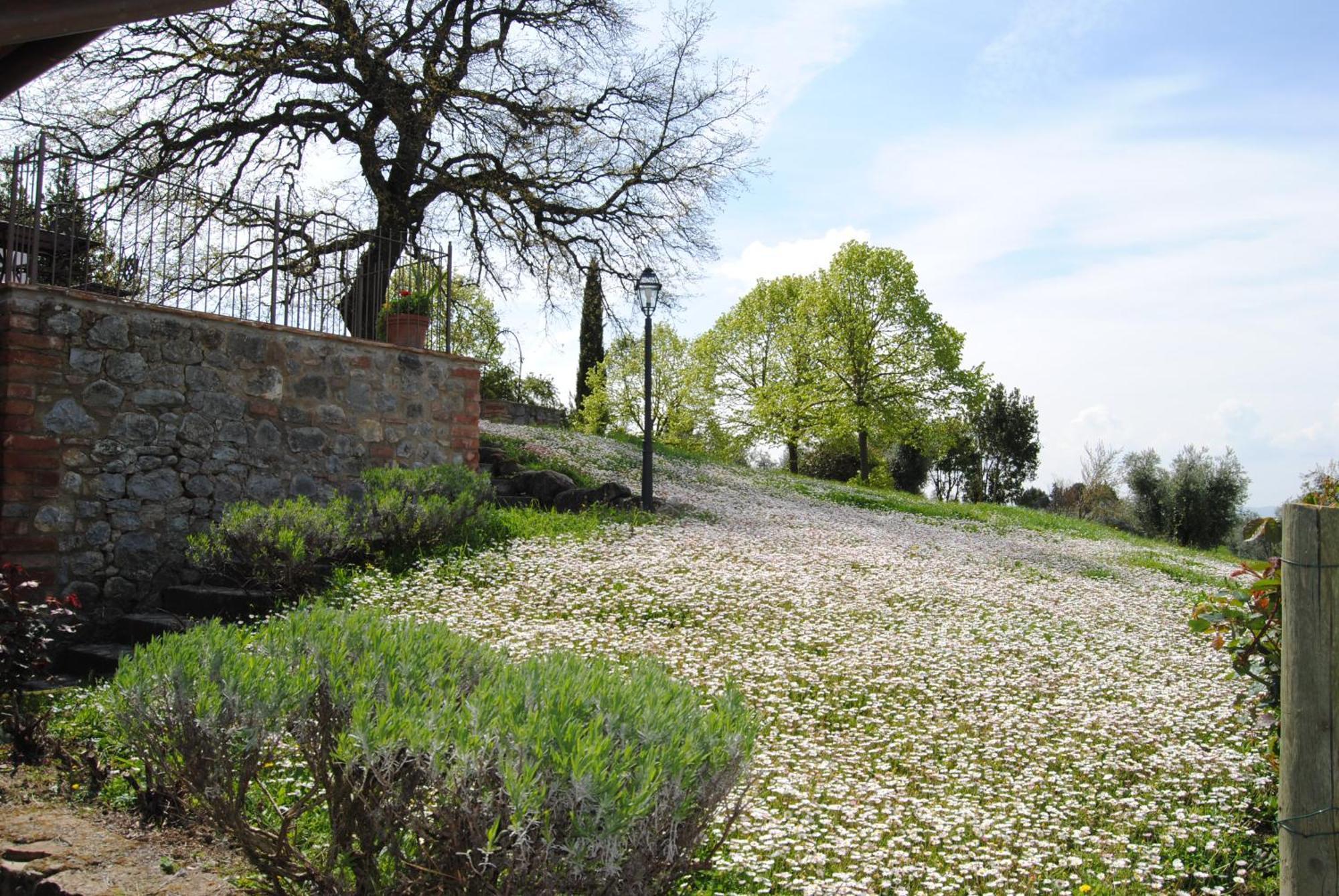 Agriturismo Cornieto Monteleone dʼOrvieto Eksteriør bilde