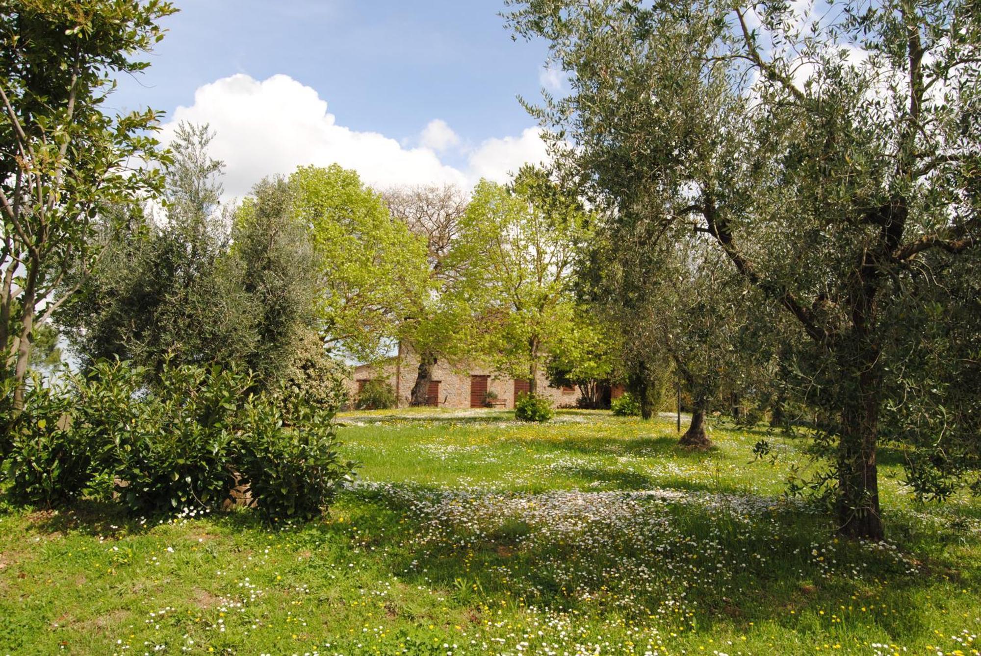 Agriturismo Cornieto Monteleone dʼOrvieto Eksteriør bilde