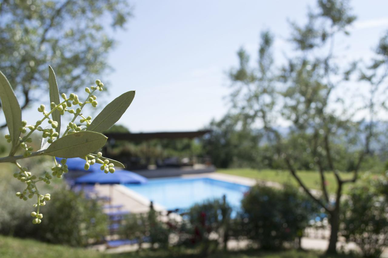 Agriturismo Cornieto Monteleone dʼOrvieto Eksteriør bilde