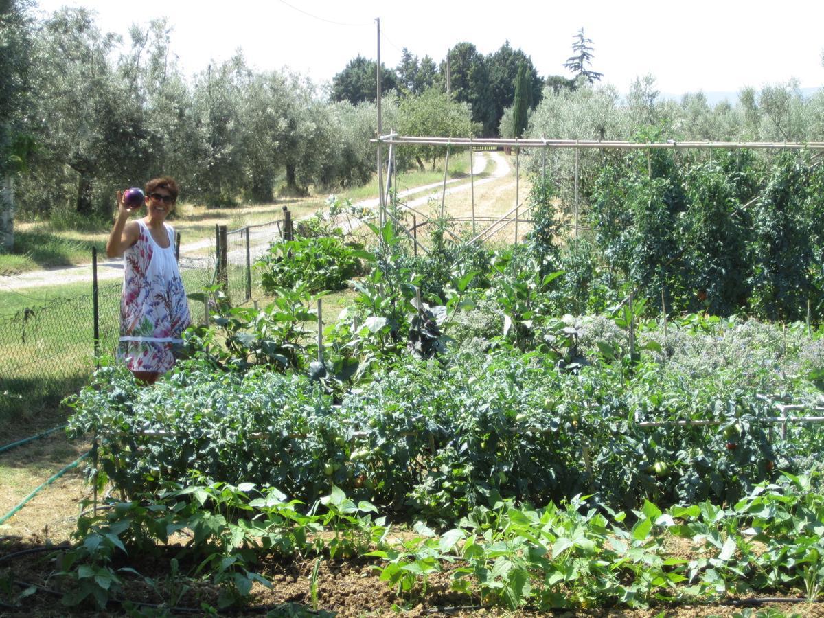 Agriturismo Cornieto Monteleone dʼOrvieto Eksteriør bilde
